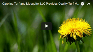 turf maintenance, mosquito control