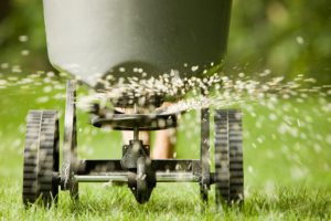 It is a good idea to hire a professional turf company for lawn fertilization