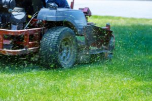 benefit of hiring a professional lawn care service