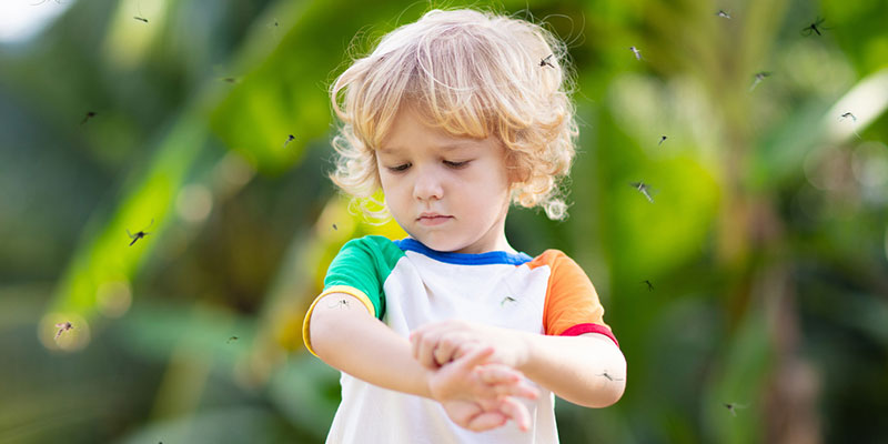 Kid, Pet, and Environment-Friendly Methods of Mosquito Removal