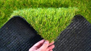 Common Turf Problems and How to Avoid Them