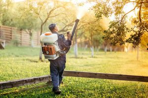 3 Benefits of Professional Mosquito Control Services